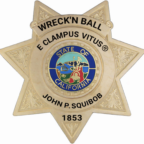 7 POINT ECV STAR BADGE