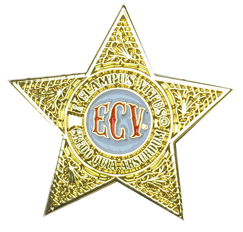 ECV Gold badge star pin