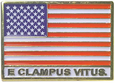 American Flag w/ E Clampus Vitus Pin