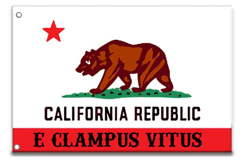 3X2 ECV California Flag