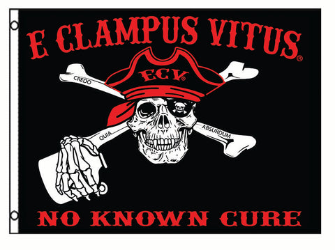 ECV 2x3 Pirate Flag
