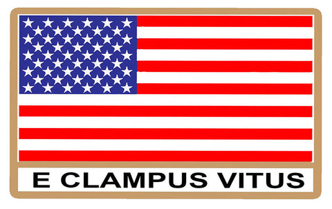 ECV American flag sticker